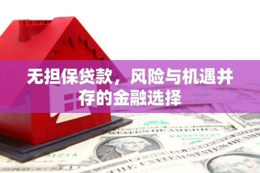 额济纳旗无担保贷款，风险与机遇并存的金融选择