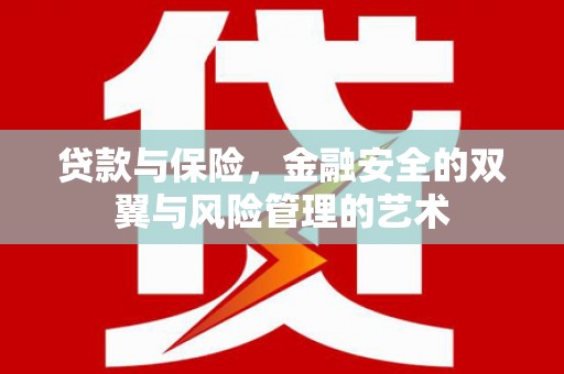 柳东贷款与保险，金融安全的双翼与风险管理的艺术