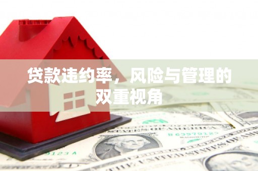 开平贷款违约率，风险与管理的双重视角
