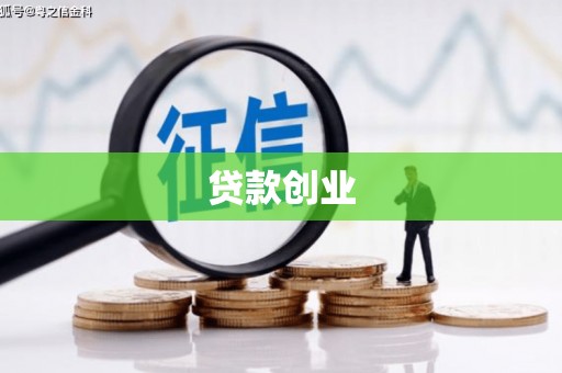 驻马店贷款创业
