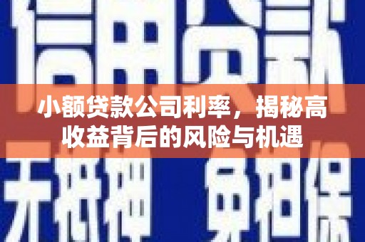 临邑小额贷款公司利率，揭秘高收益背后的风险与机遇