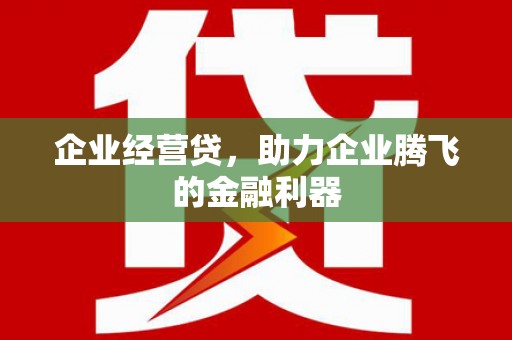 双清企业经营贷，助力企业腾飞的金融利器