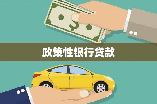 金湖政策性银行贷款