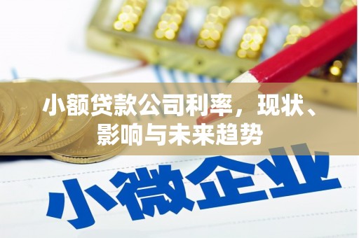 崇左小额贷款公司利率，现状、影响与未来趋势