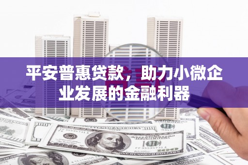 南丹平安普惠贷款，助力小微企业发展的金融利器