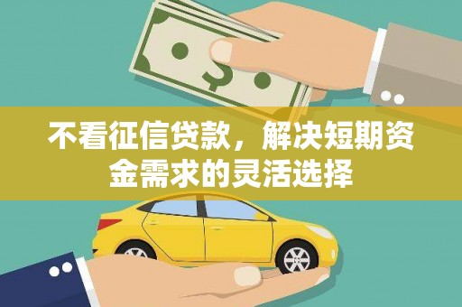石龙不看征信贷款，解决短期资金需求的灵活选择