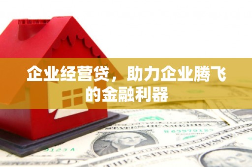 荥阳企业经营贷，助力企业腾飞的金融利器