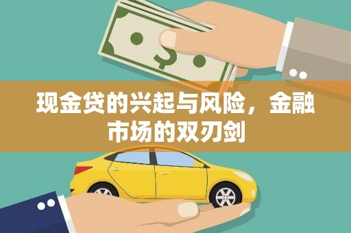 苍南现金贷的兴起与风险，金融市场的双刃剑