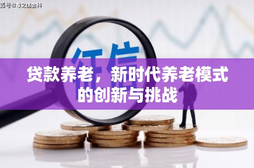 路环岛贷款养老，新时代养老模式的创新与挑战