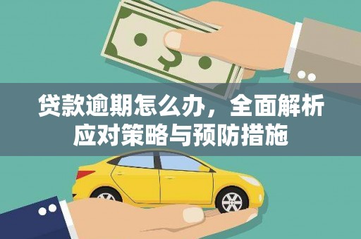特克斯贷款逾期怎么办，全面解析应对策略与预防措施