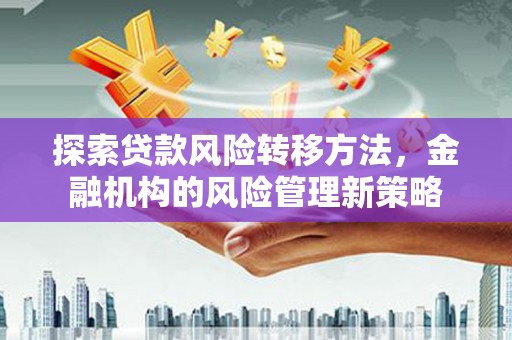 九龙城探索贷款风险转移方法，金融机构的风险管理新策略