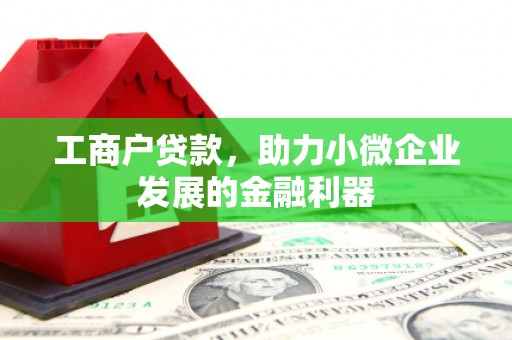 延平工商户贷款，助力小微企业发展的金融利器