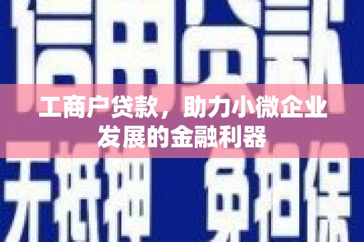 湖西工商户贷款，助力小微企业发展的金融利器