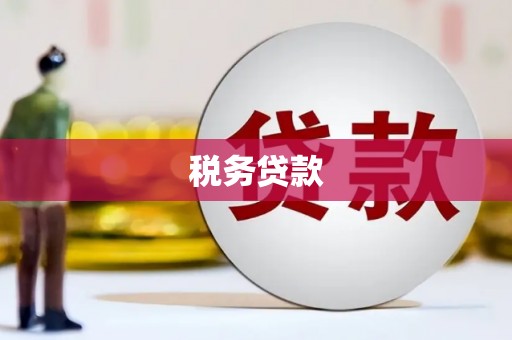 碑林税务贷款