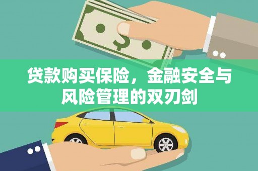 湖里贷款购买保险，金融安全与风险管理的双刃剑