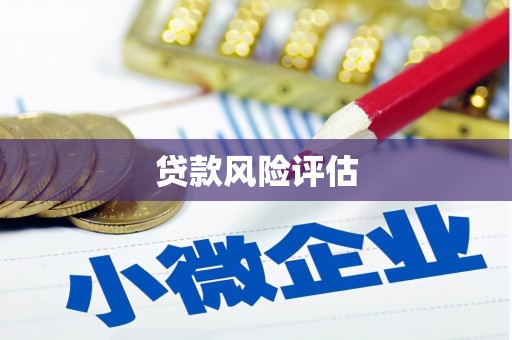 嵊州贷款风险评估
