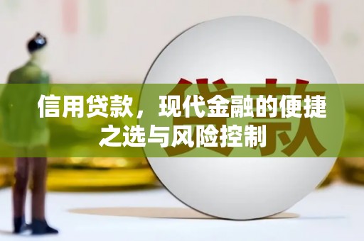 克孜勒苏柯尔克孜信用贷款，现代金融的便捷之选与风险控制