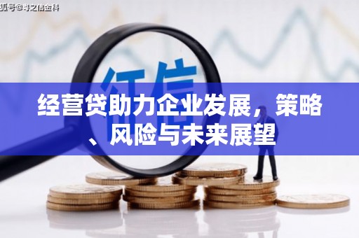 固始经营贷助力企业发展，策略、风险与未来展望