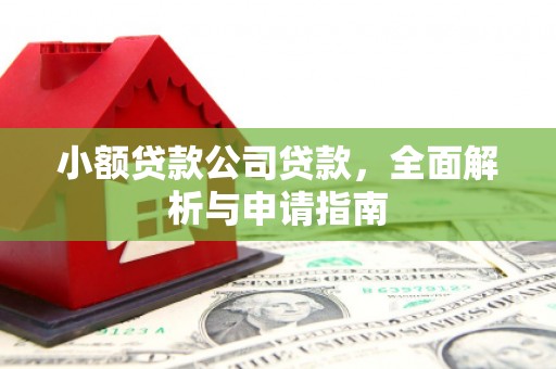 旺苍小额贷款公司贷款，全面解析与申请指南