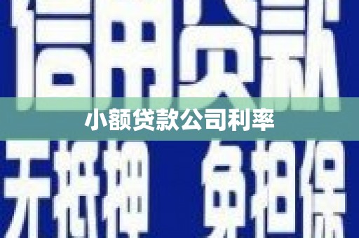 颍泉小额贷款公司利率