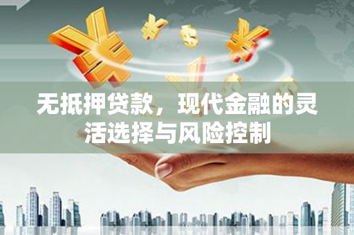 美姑无抵押贷款，现代金融的灵活选择与风险控制