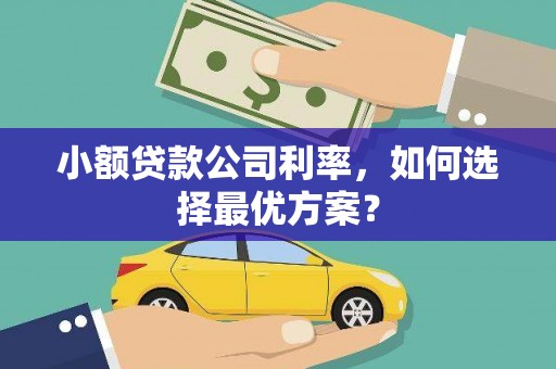 永善小额贷款公司利率，如何选择最优方案？
