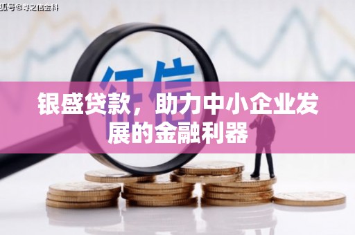 大连银盛贷款，助力中小企业发展的金融利器