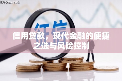 铁山信用贷款，现代金融的便捷之选与风险控制