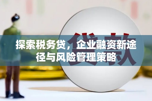 尚义探索税务贷，企业融资新途径与风险管理策略
