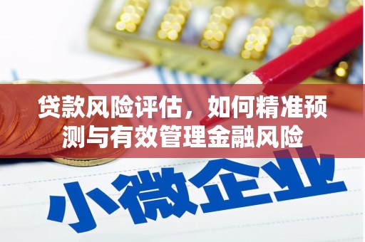 南平贷款风险评估，如何精准预测与有效管理金融风险