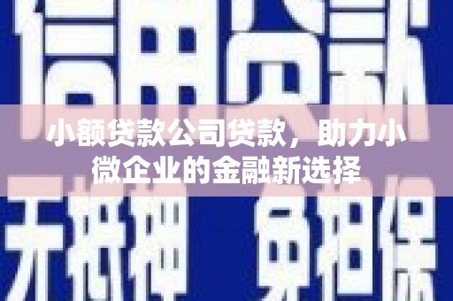 怀来小额贷款公司贷款，助力小微企业的金融新选择