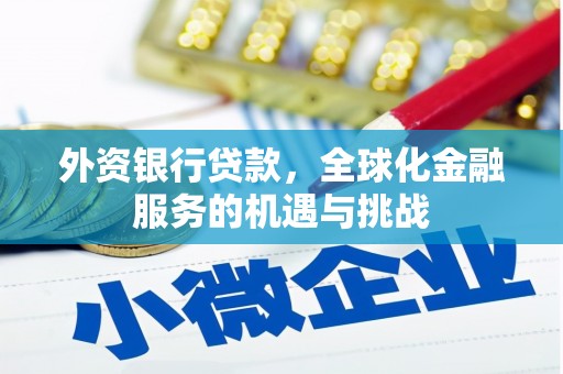 青冈外资银行贷款，全球化金融服务的机遇与挑战