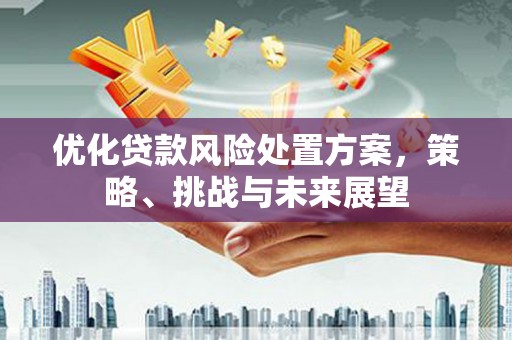 石拐优化贷款风险处置方案，策略、挑战与未来展望