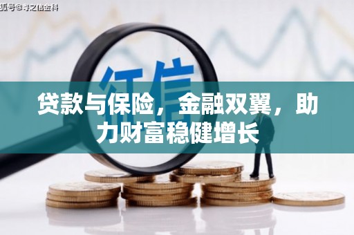 红星贷款与保险，金融双翼，助力财富稳健增长