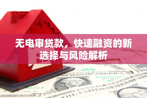 大宁无电审贷款，快速融资的新选择与风险解析