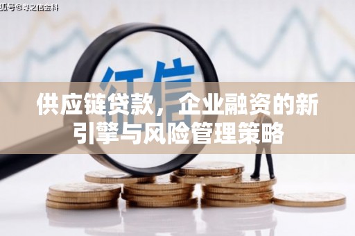 乐东供应链贷款，企业融资的新引擎与风险管理策略