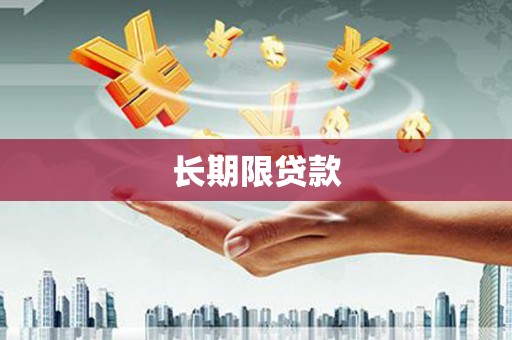 大武长期限贷款