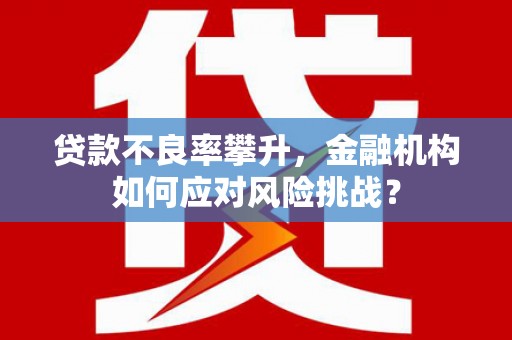 巩留贷款不良率攀升，金融机构如何应对风险挑战？