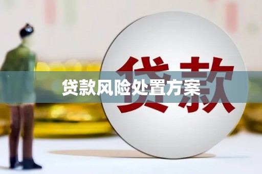 中宁贷款风险处置方案