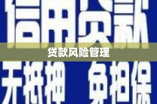 水磨沟贷款风险管理