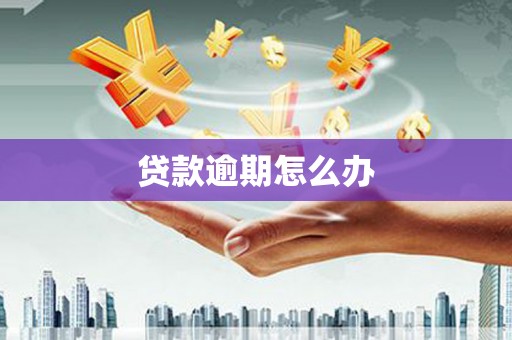 太白贷款逾期怎么办