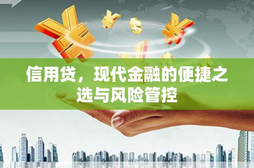 奎文信用贷，现代金融的便捷之选与风险管控