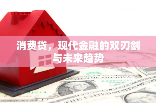 宁化消费贷，现代金融的双刃剑与未来趋势