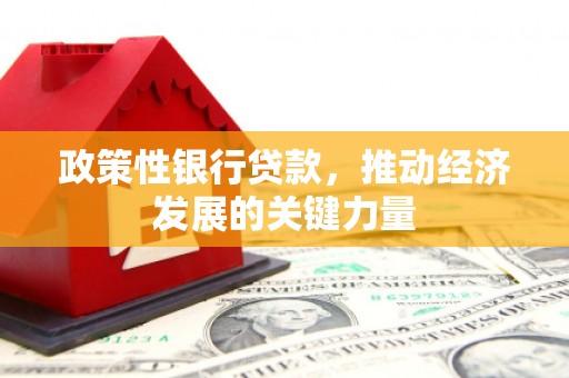 嘉善政策性银行贷款，推动经济发展的关键力量