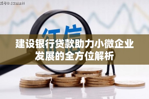 博山建设银行贷款助力小微企业发展的全方位解析