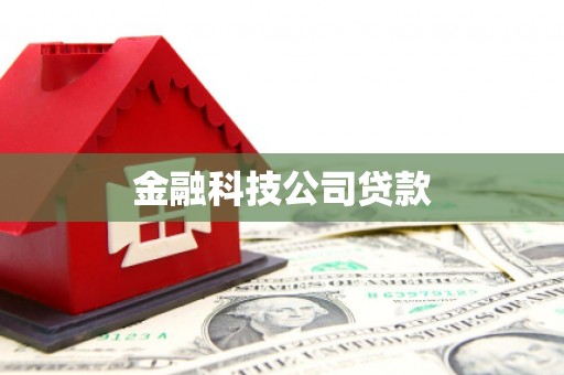 四会金融科技公司贷款