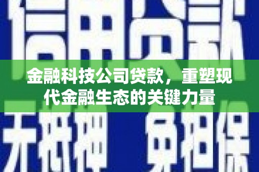 呼玛金融科技公司贷款，重塑现代金融生态的关键力量