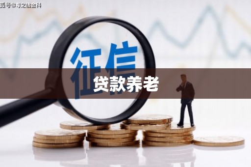 普洱贷款养老