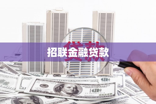 汉南招联金融贷款