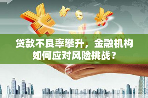 晋州贷款不良率攀升，金融机构如何应对风险挑战？